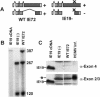 FIG. 10.