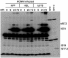 FIG. 9.