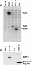 FIG. 7.