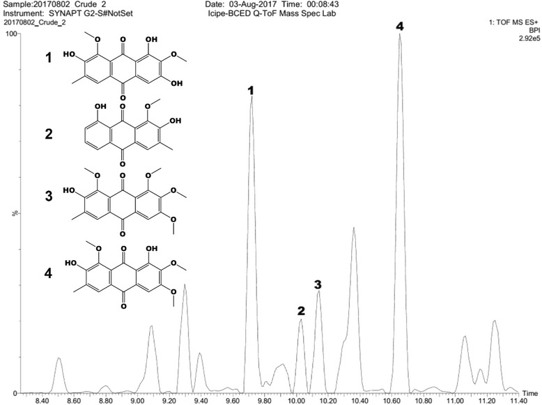 Fig. 1