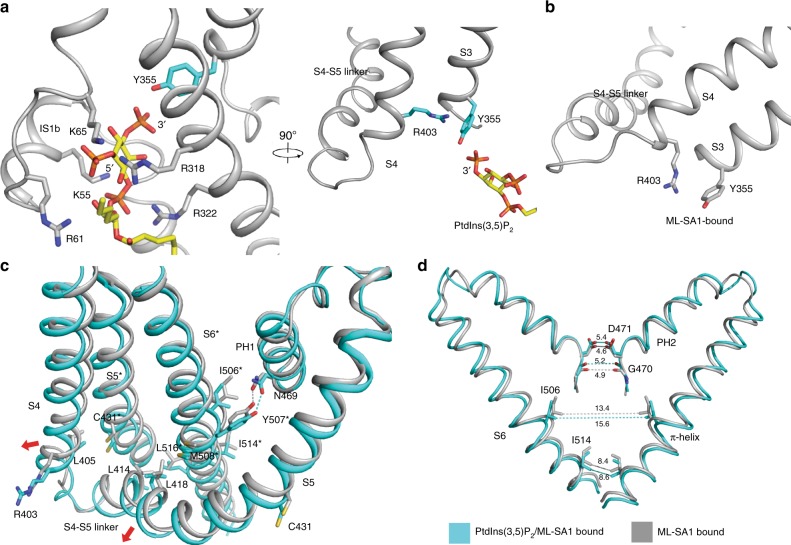 Fig. 4