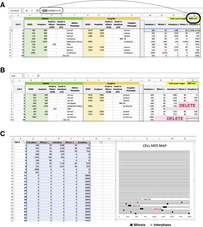 Fig. 3