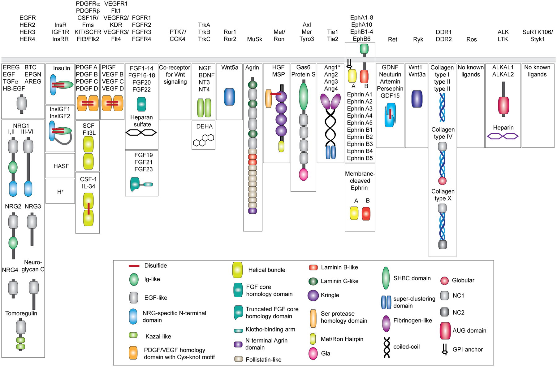 Figure 1: