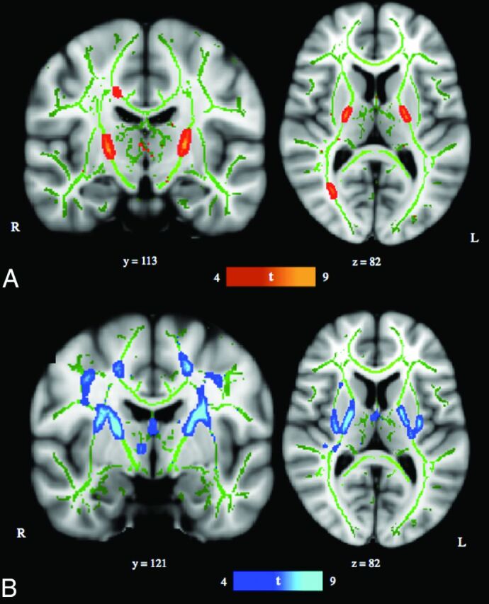 Fig 1.