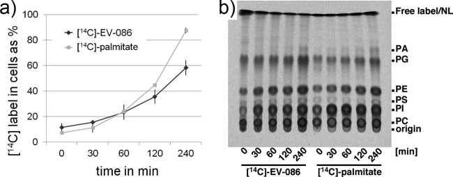 FIG 8