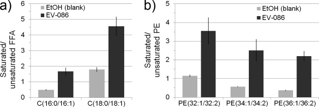 FIG 7