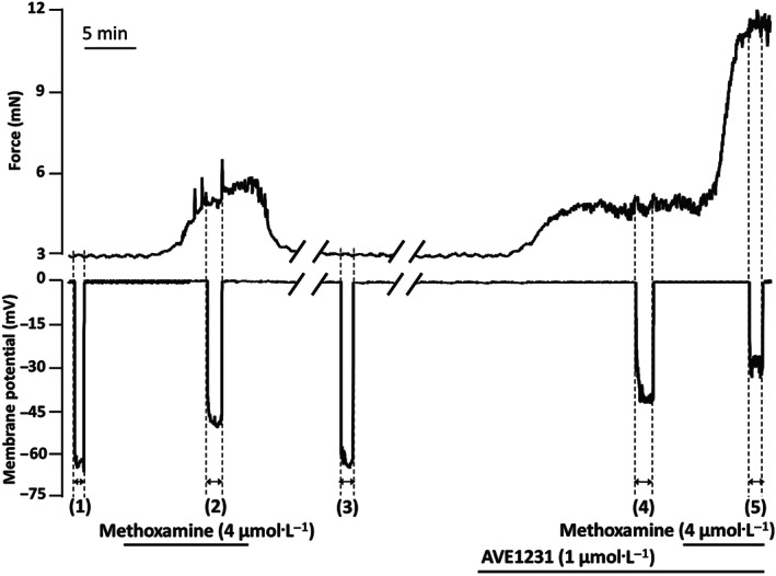 FIGURE 4