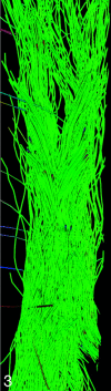 Fig 3.