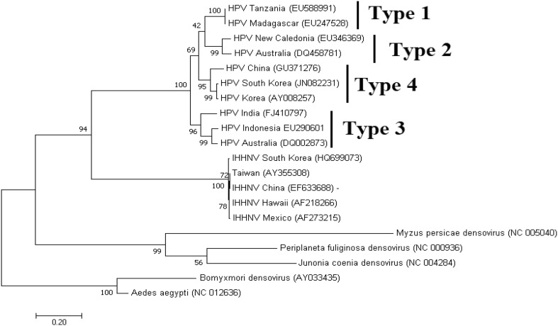 Fig. 8