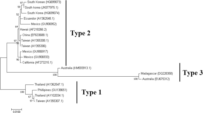 Fig. 6