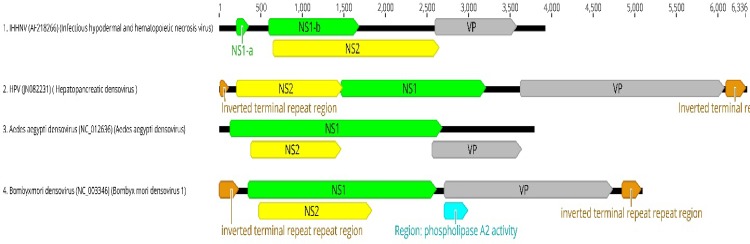 Fig. 5