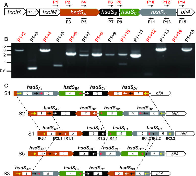 Figure 3.