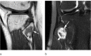Figure 20.