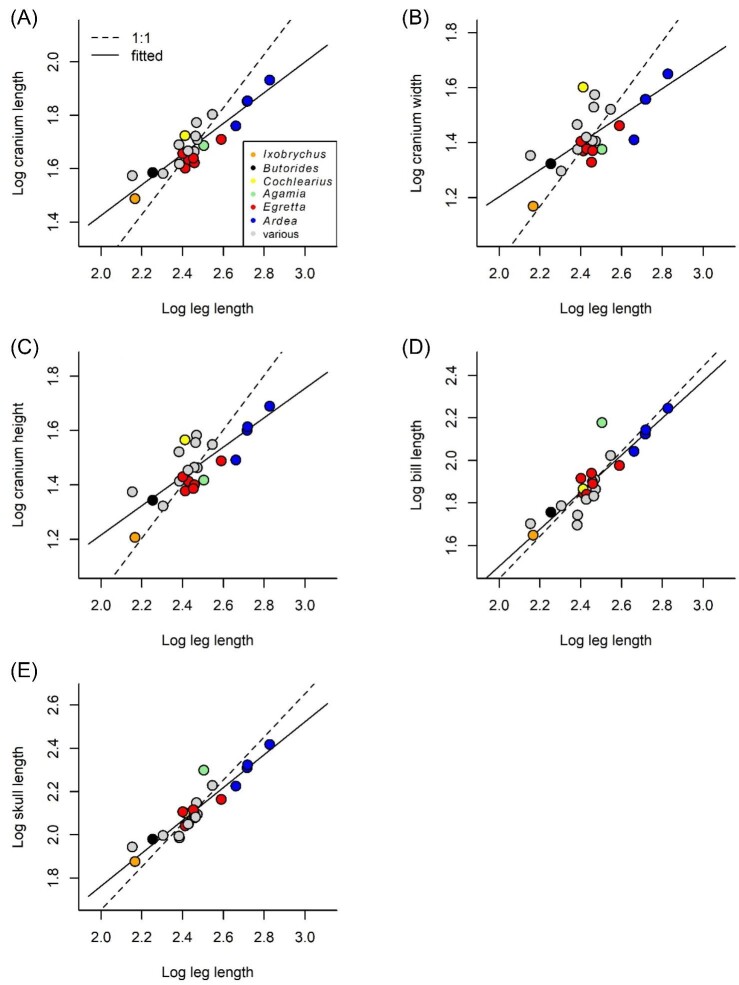 Fig. 2