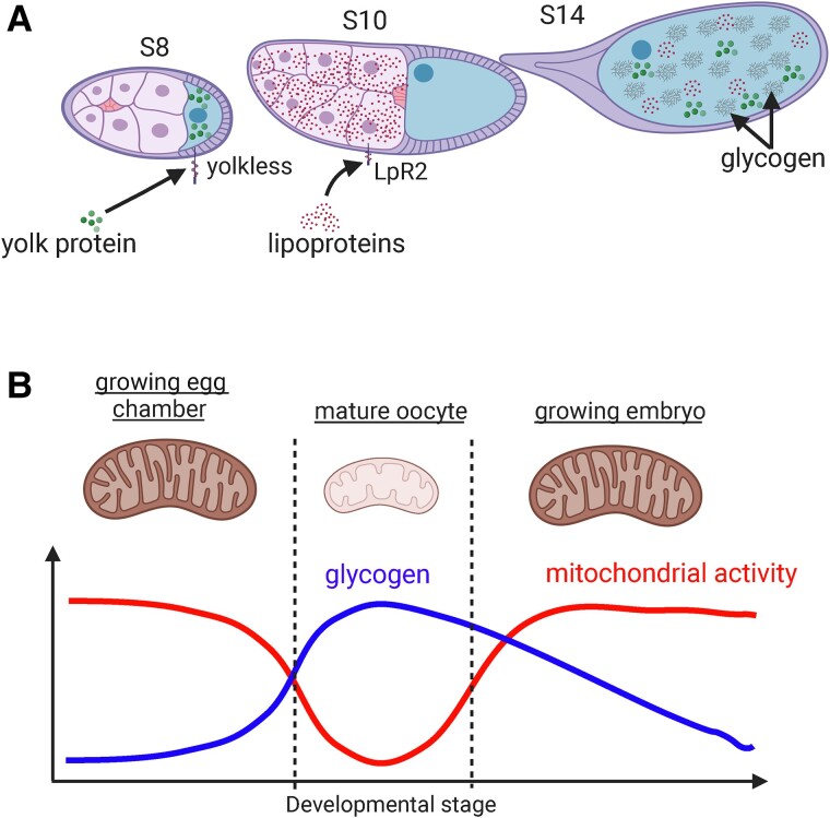 Fig. 3.