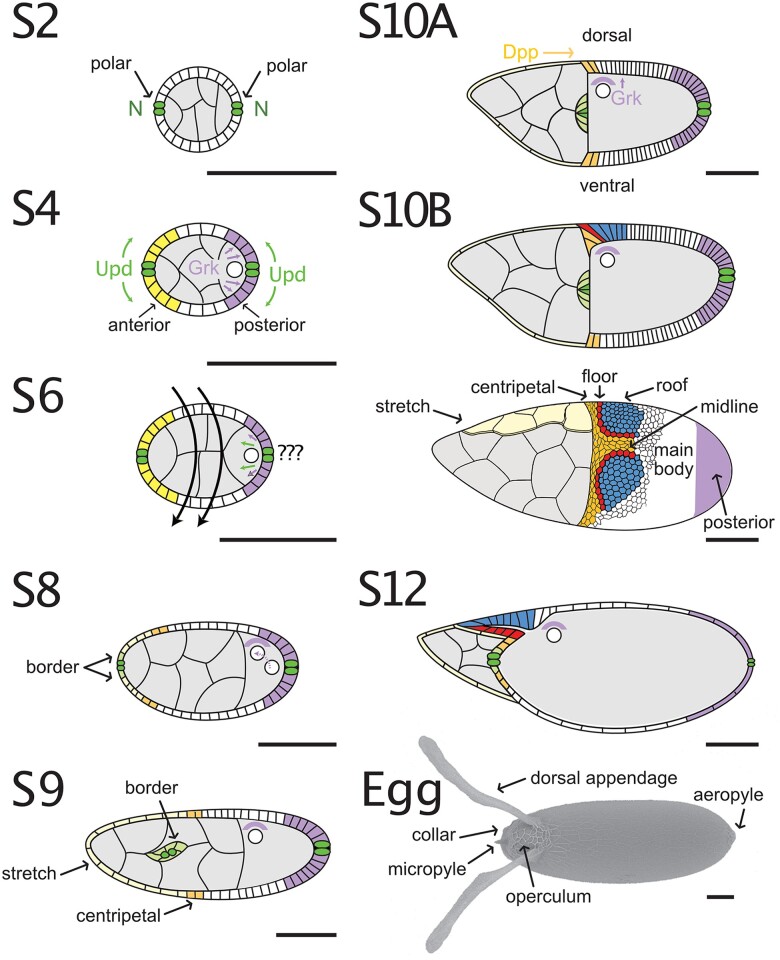 Fig. 6.