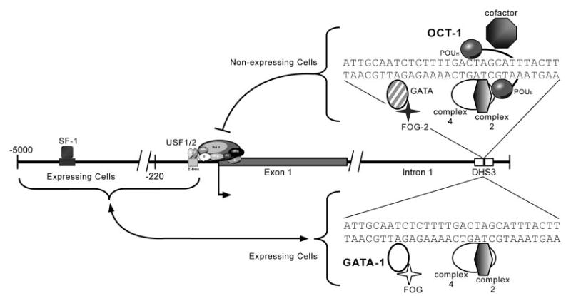 Fig. 9