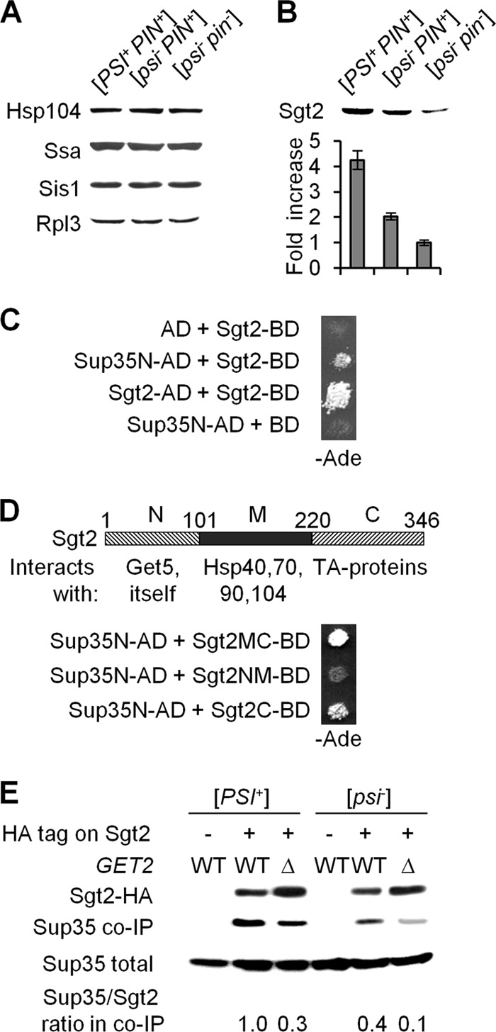 Fig 5