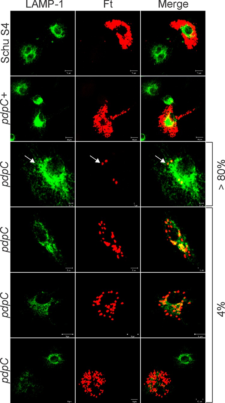 Fig 4