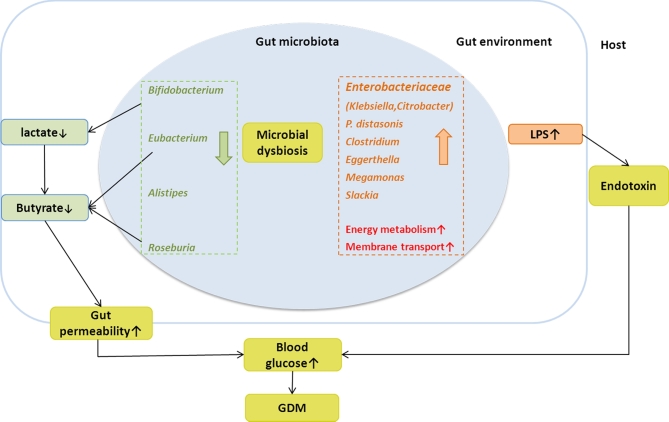 Figure 7: