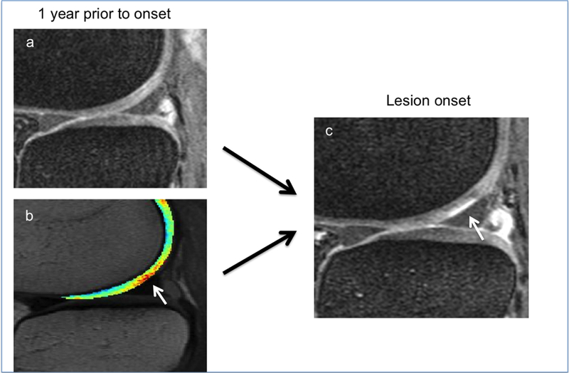 Figure 3: