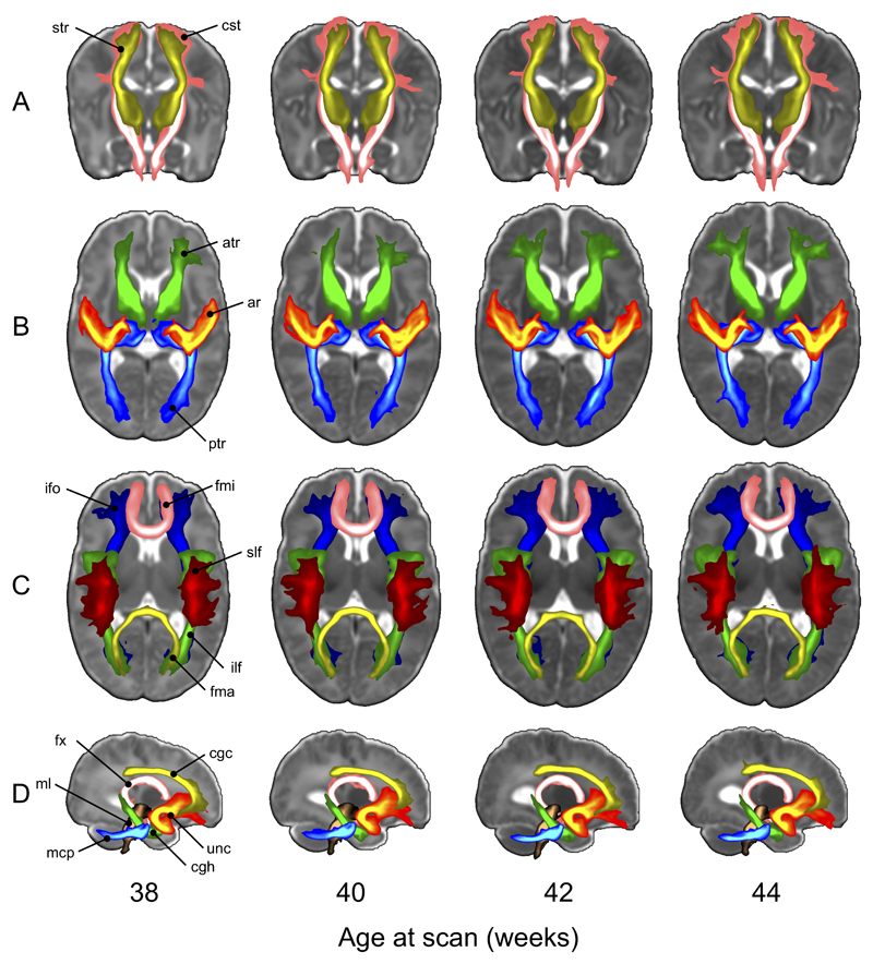 Figure 12