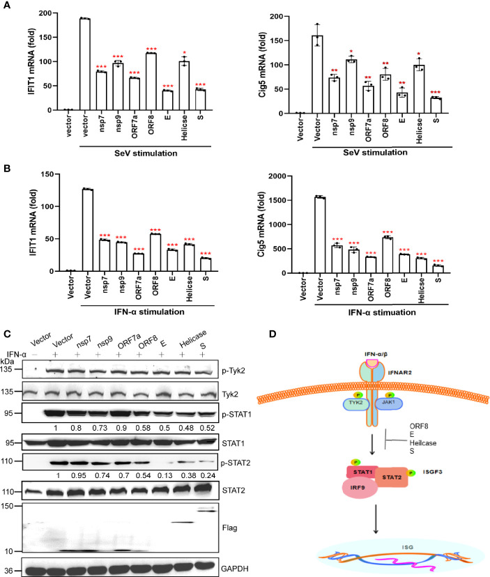 Figure 4