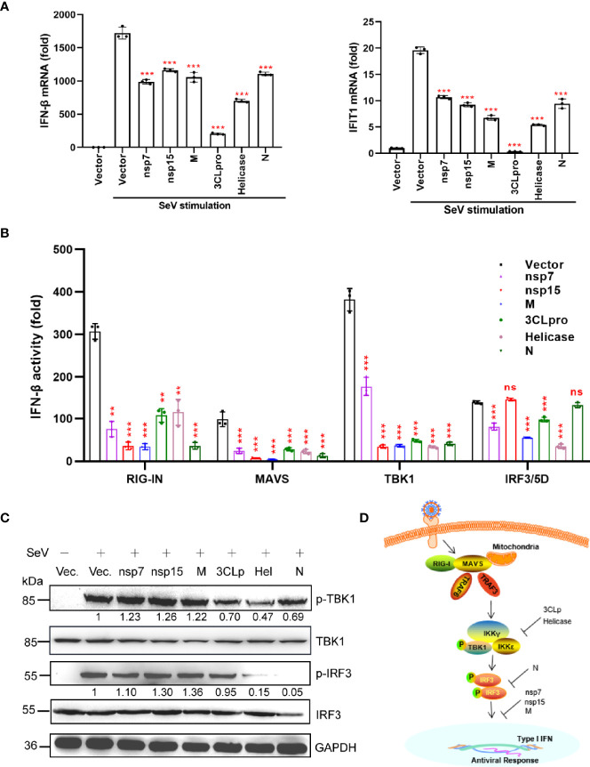 Figure 2