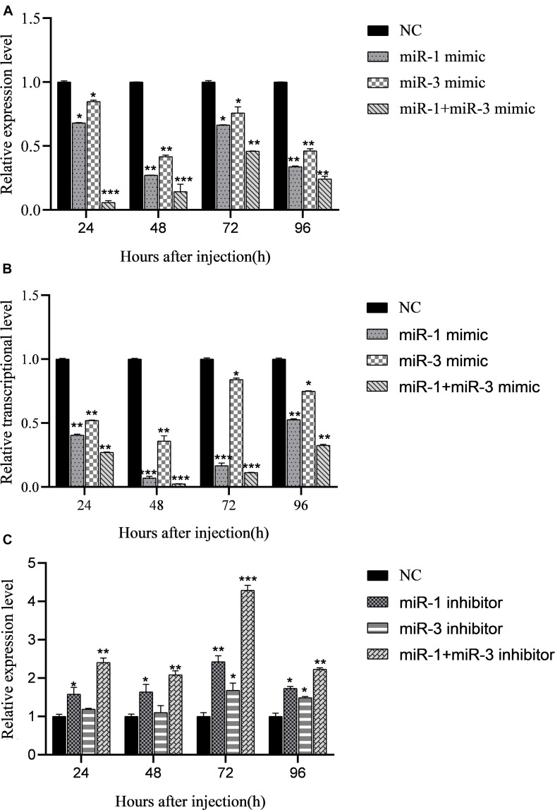 FIGURE 4