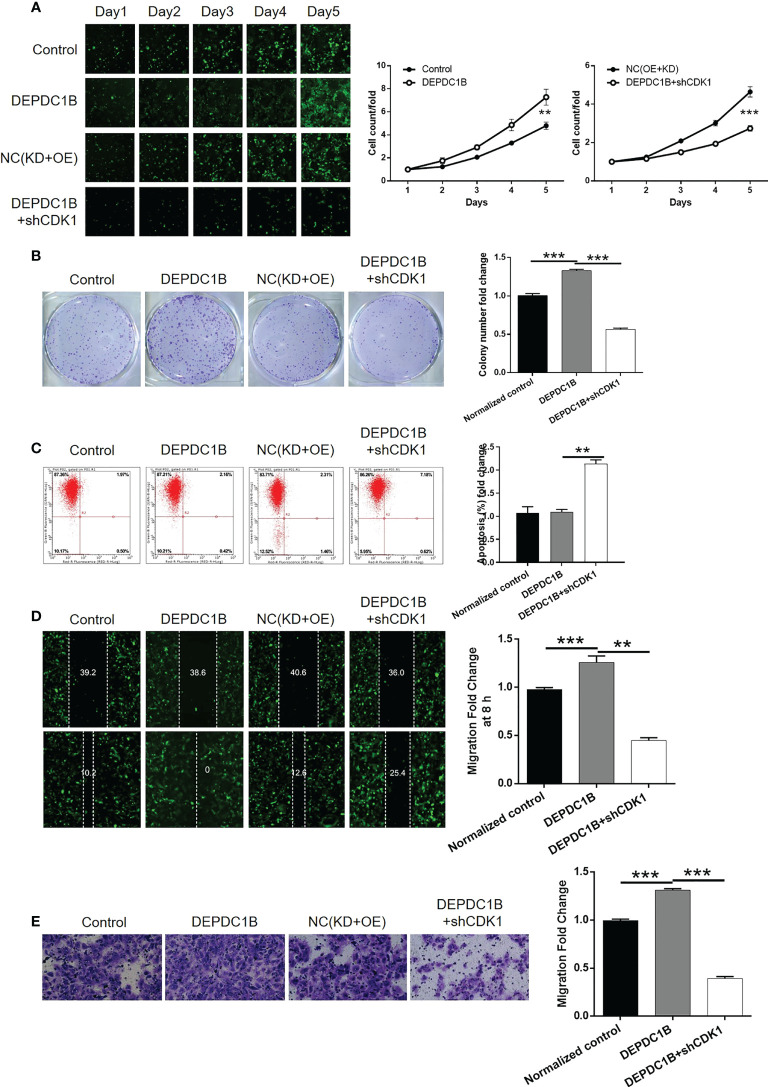 Figure 6