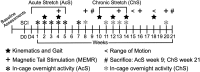 <b>FIG. 1.</b>