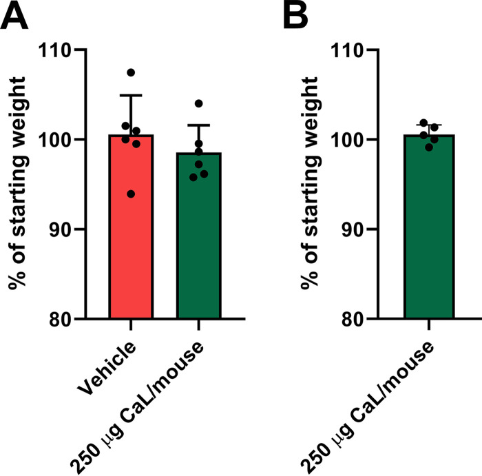 FIG 6