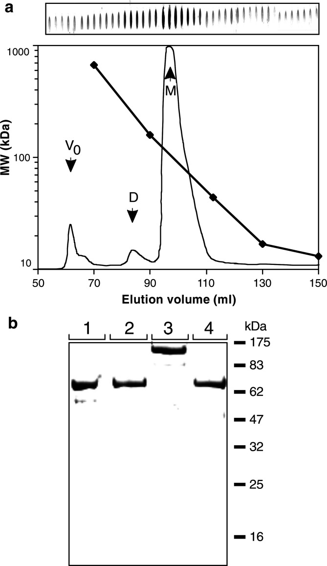 Fig. 2