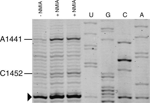 FIGURE 6.