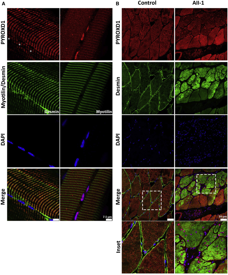 Figure 5