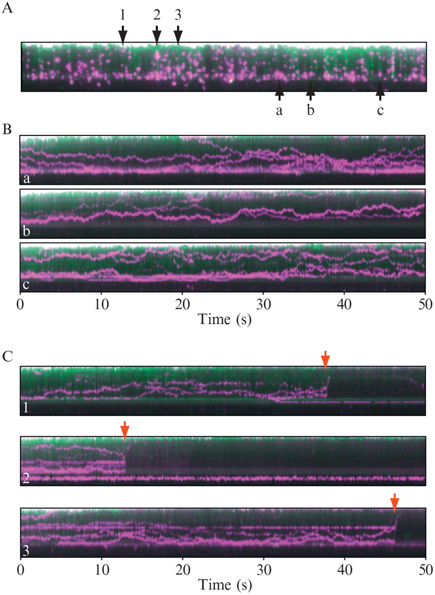 Figure 14.10