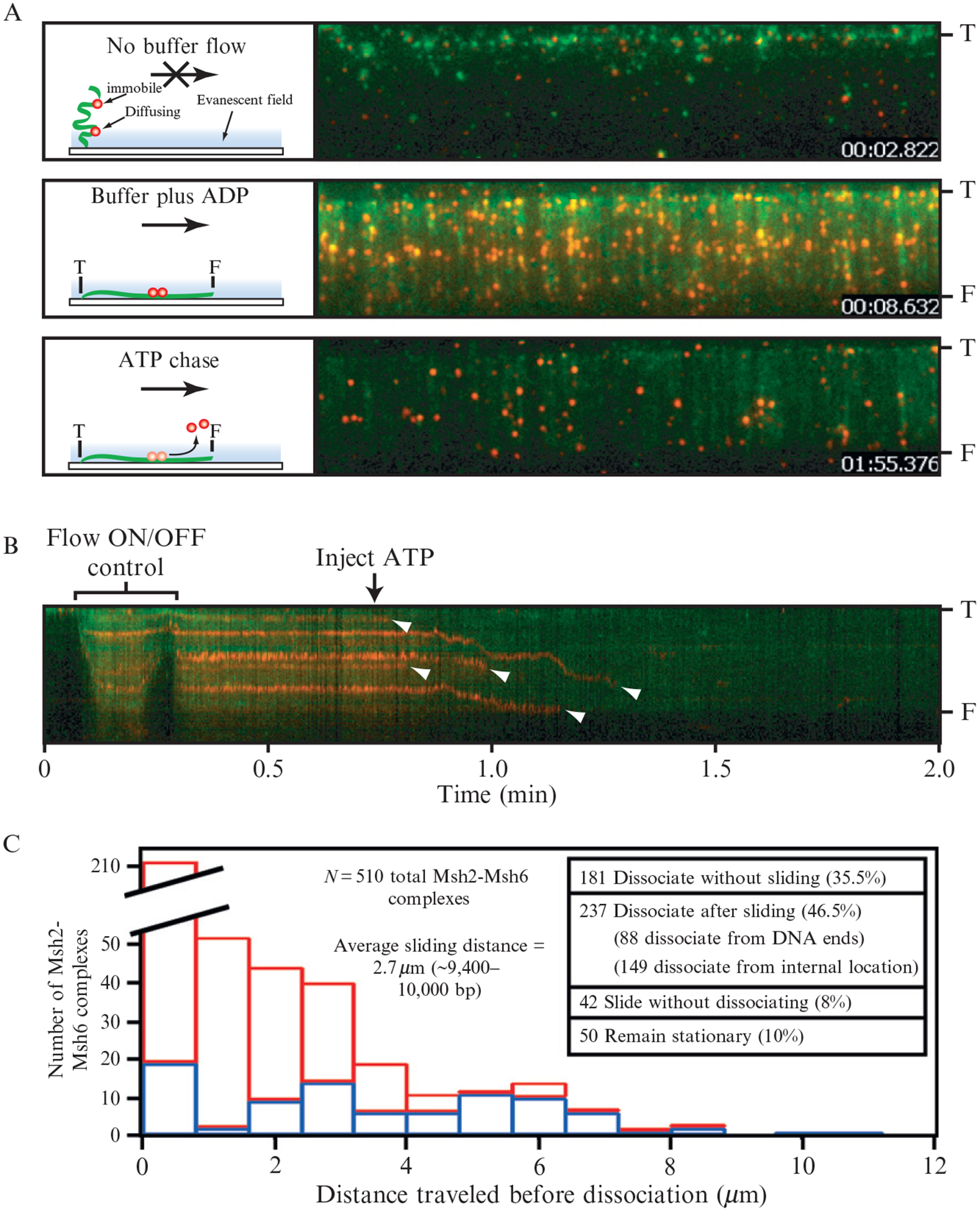 Figure 14.9