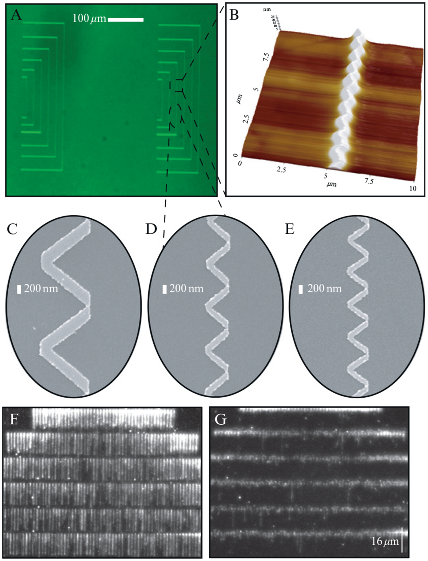 Figure 14.5