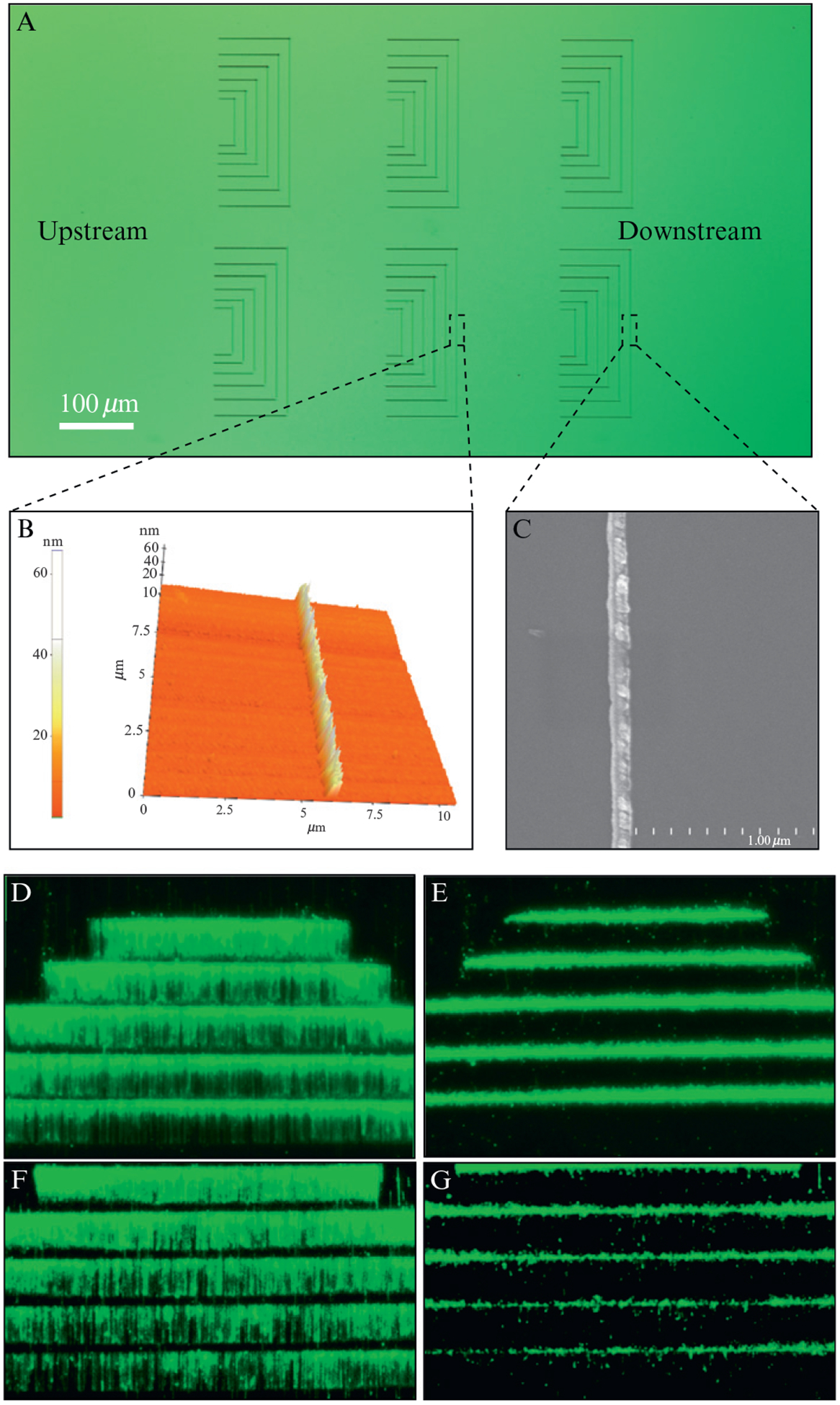 Figure 14.4