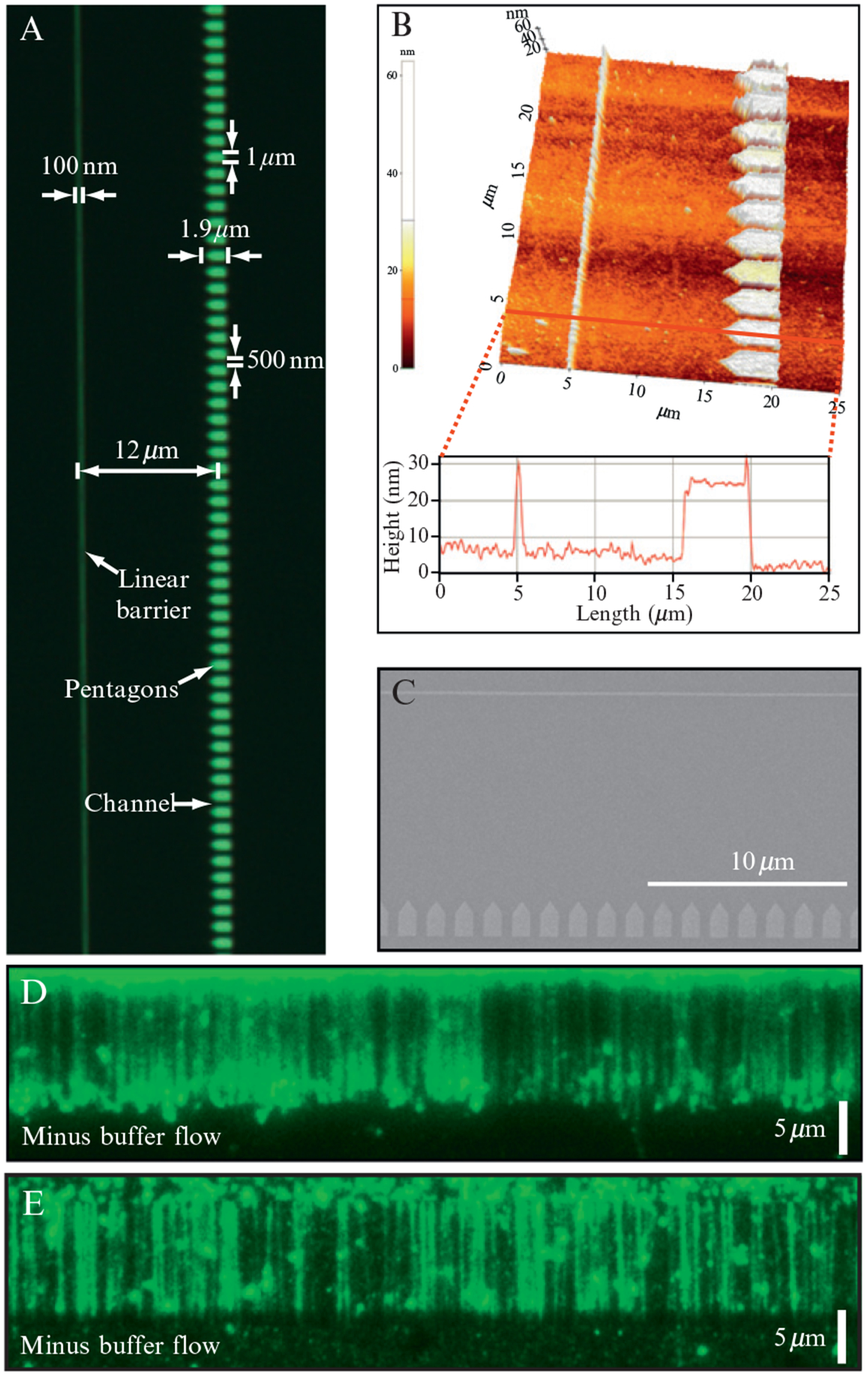 Figure 14.6