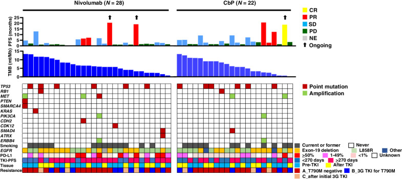 Figure 3. Individual treatment outcome and response for 50 patients with specimens available for analysis of tumor mutation burden (TMB) according to tumor characteristics. Progression-free survival (PFS) and best objective response (CR, complete response; PR, partial response; SD, stable disease; PD, progressive disease; NE, not evaluable) for nivolumab or carboplatin-pemetrexed (CbP) are shown in the top panel. Black arrows indicate ongoing response at data cutoff date. TMB (mutations/Mb) is shown in the middle panel. The distribution of selected gene alterations, smoking status, epidermal growth factor receptor gene (EGFR) mutation type, programmed cell death–ligand 1 (PD-L1) tumor proportion score, PFS for initial EGFR tyrosine kinase inhibitor (TKI) treatment, timing for collection of tumor tissue for analysis (before or after initial EGFR-TKI treatment), and pattern of EGFR-TKI resistance (see legend of Fig. 2 for explanation of A, B, and C) are shown in the bottom panel. 3G, third-generation.