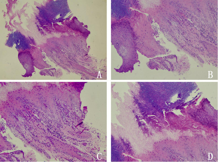 Fig. 3