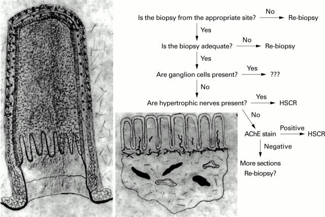 Figure 1  