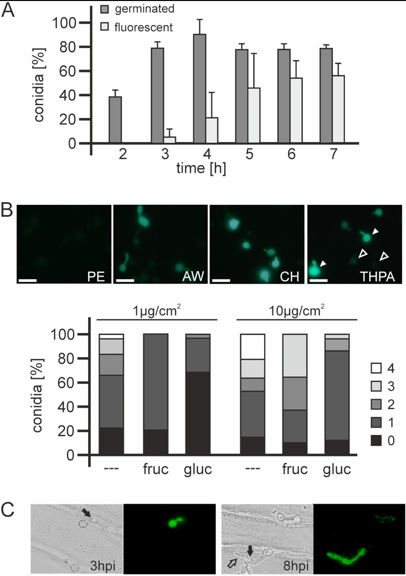 Fig 9