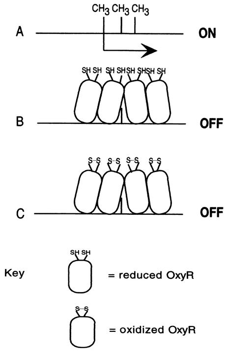 FIG. 5.