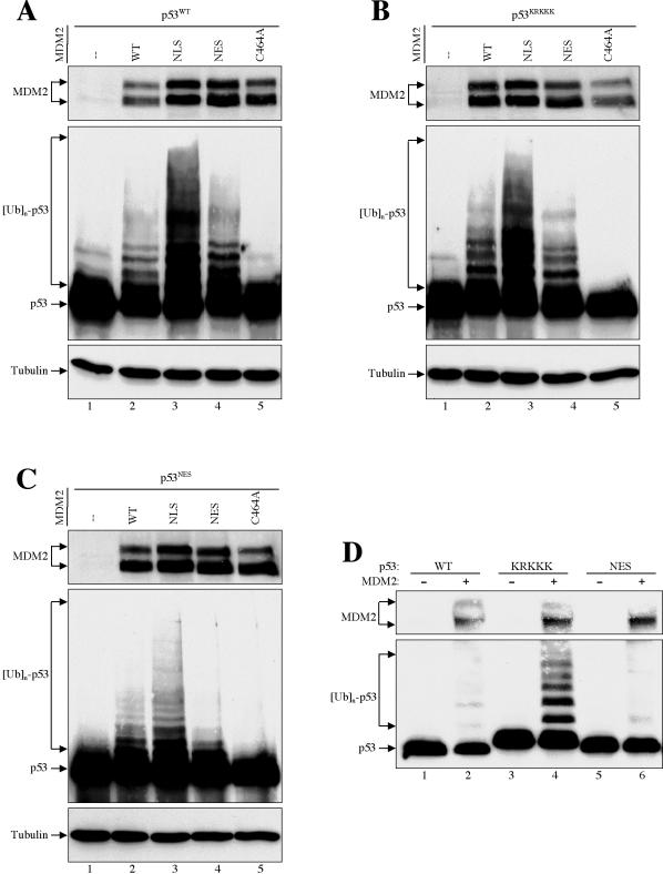 FIG. 7.