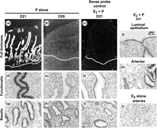 Figure 5