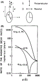 Fig. 3A–B