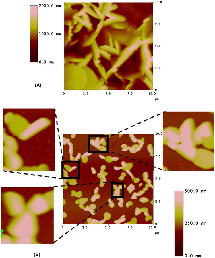 Fig. 7A–B