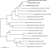 FIG. 2.